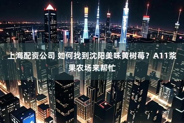 上海配资公司 如何找到沈阳美味黄树莓？A11浆果农场来帮忙